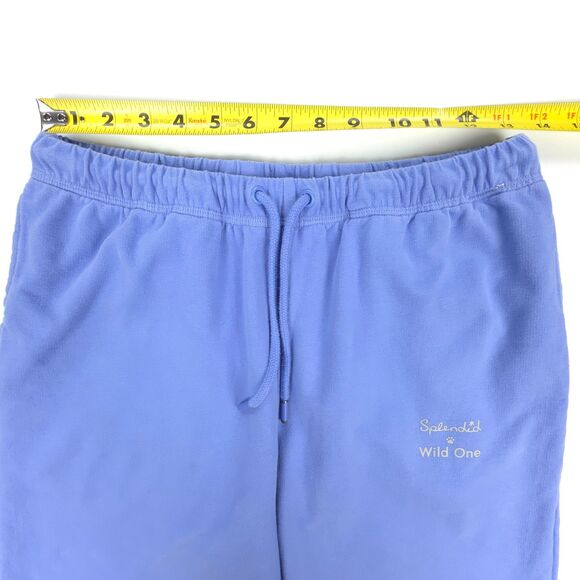 SPLENDID Wild One All-Gender Crewneck Pullover Co-ord Jogger Sweatsuit Moonstone - Picture 10 of 16